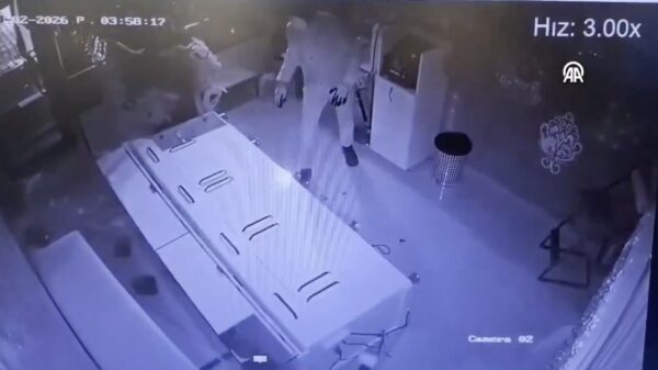 Crimineel 'genie' ramt juwelier met heftruck en vlucht op een ezel