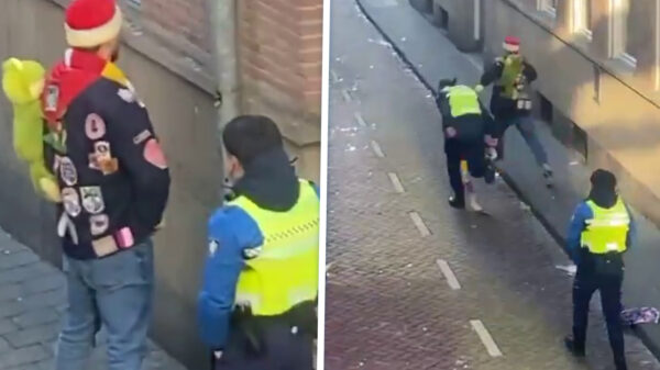 Wildplasser probeert te ontsnappen in Oeteldonk, maar rent BOA-val in