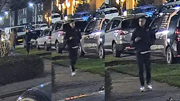 Nepagent met vuurwapen overvalt 80-jarige vrouw in woning in Piershil