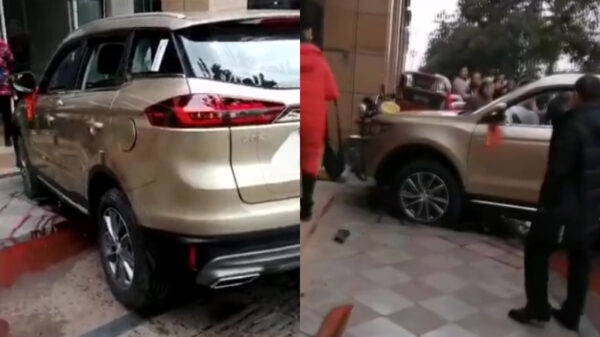 Aziatische faalhaas lanceert zijn gloednieuwe SUV over een boompje