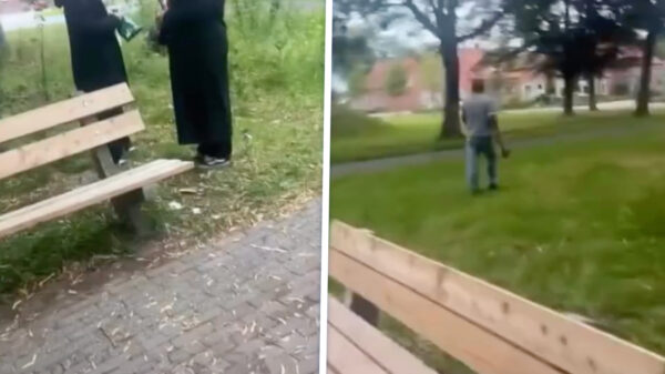 Man met gigantische hakbijl sloopt speaker na geluidsoverlast in park