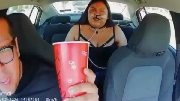 Uber-chauffeur gooit passagier eruit die op de achterbank begint te blaffen