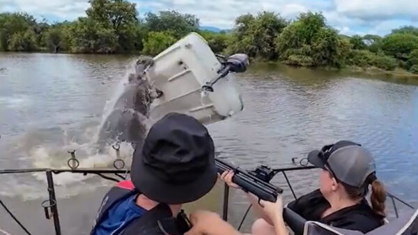 Woest nijlpaard beukt boot omver in een nationaal park in Zuid-Afrika