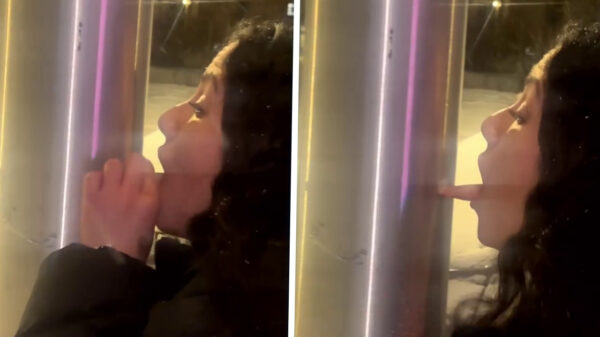 Heldin komt vast te zitten met haar tong als ze een metalen paal likt