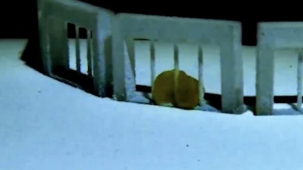 Zuid-Koreanen bouwen vloeibare robot die beweegt, zich splitst en weer samenvoegt