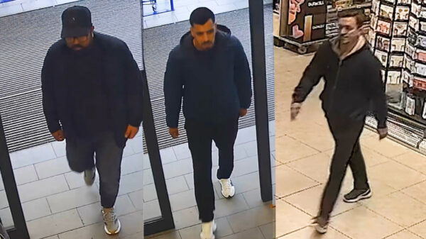 Laffe roofdieren jagen op hoogbejaarde vrouwen in Enschede en Dieren