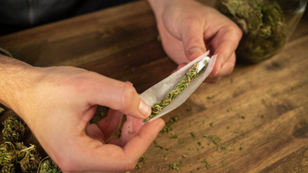 Simulatie laat zien wat dagelijks blowen met je lichaam doet