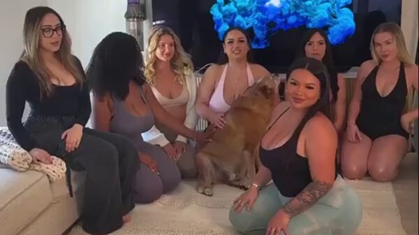 We hebben zeven yogajuffen en jij mag bepalen wie jouw favoriet wordt