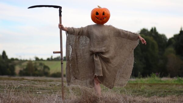 Nieuwe studie zegt dat de dood in fases verloopt en niet in één moment