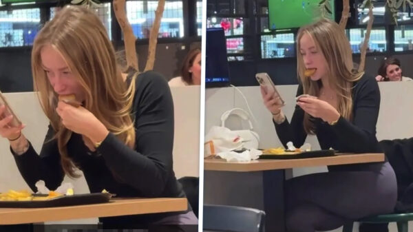 Kipnugget + slim trucje = ineens 10.000 huwelijksaanzoeken