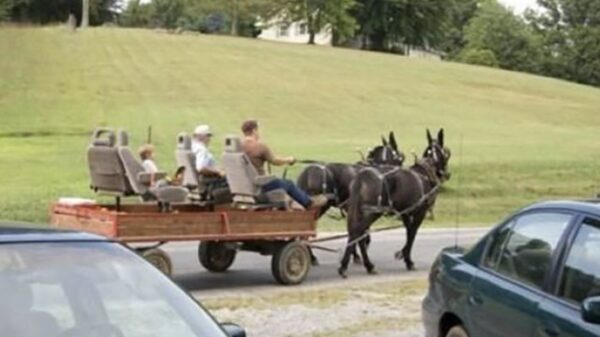 Geen budget, wel een oplossing: 25 keer improviseren voor gevorderden