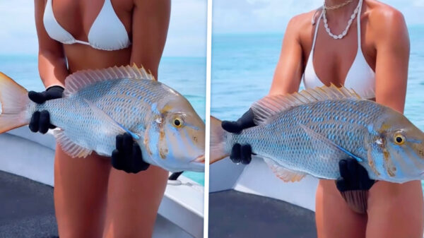 Ze vangt een dikke vis, maar het internet kijkt weer eens naar… iets anders