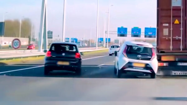 Verkeershufters in het wild: Wie is hier de grootste pannenkoek?