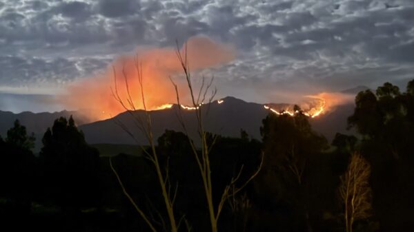 De Bellinga's genieten van een gezellig bosbrandje bij hun vakantiehuis