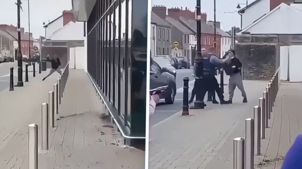 Ultieme karma: Stenengooier kiest PRECIES het verkeerde moment uit