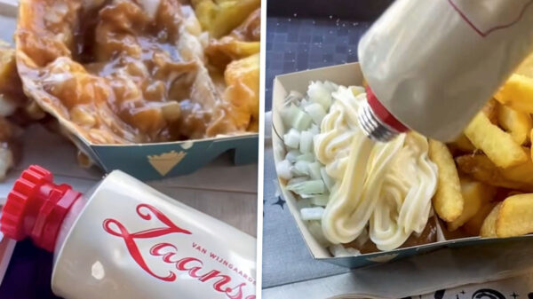 Efteling-bezoeker walgt van vegan mayo en smokkelt eigen tube naar binnen
