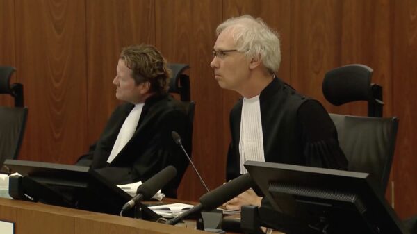 Dit opvallends werd in de rechtszaal gezegd over geslachtsdeel van Ali B