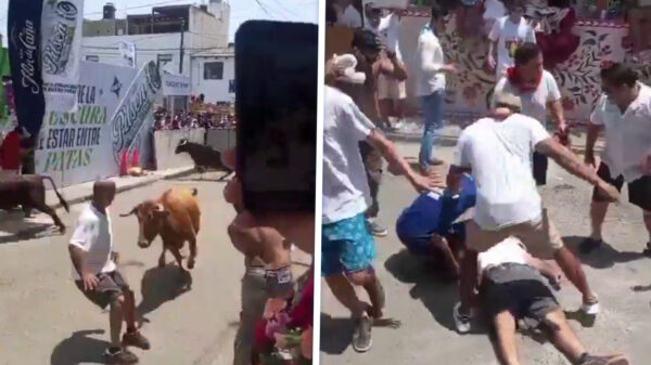 Schokkende beelden: Stier geeft man kopstoot tijdens stadsfestival
