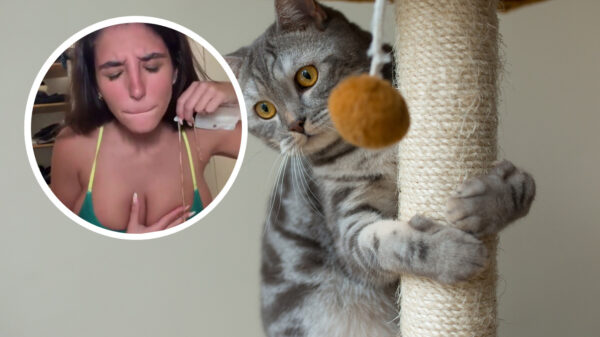 Vrouw verandert in krabpaal als haar kat vol in d'r melkflessen grijpt