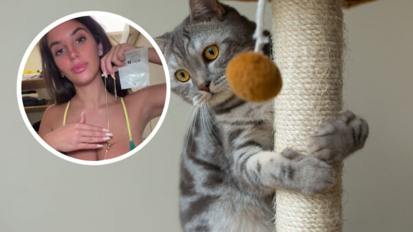 Vrouw verandert in krabpaal als haar kat vol in d'r melkflessen grijpt