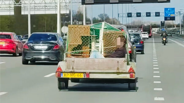 Als je vrouw eindelijk heeft besloten het grofvuil weg te brengen
