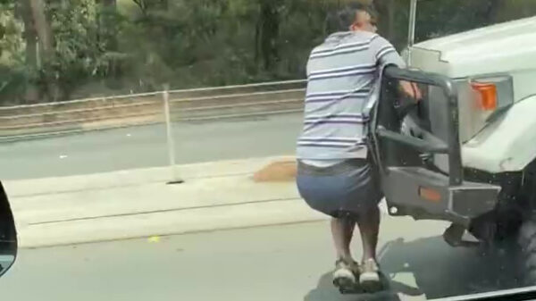 Bullbar blijkt ideale plek om extra passagier te vervoeren