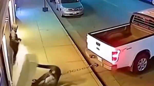 Crimineeltjes denken geldautomaat te jatten, maar hebben hun dag niet