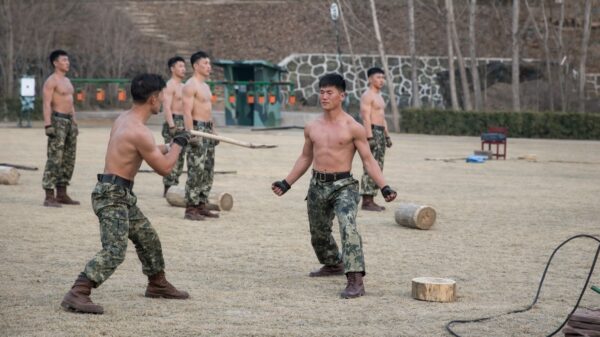 Noord-Korea deelt training van superleger: Soldaten slopen stenen met blote vuisten