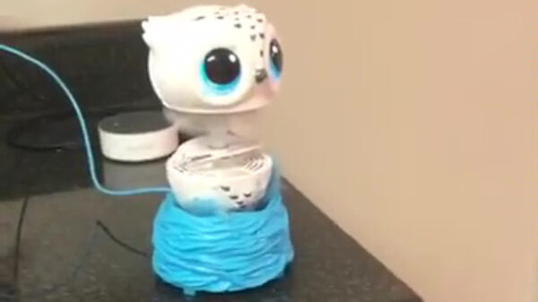 Nieuw speelgoedje blijkt doodeng te zijn