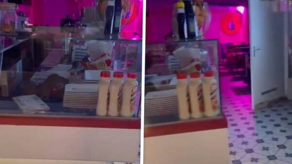 Opnieuw raak: Rattenplaag in Amsterdams restaurant gefilmd door voorbijgangers