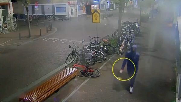 Jonge vrouw (22) 's nachts aangerand op weg naar station Hollands Spoor