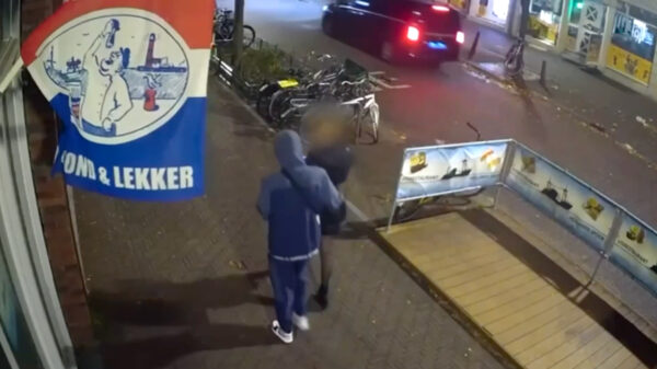 Jonge vrouw (22) 's nachts aangerand op weg naar station Hollands Spoor