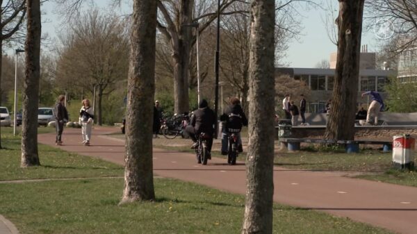 Zwanennest bij skatepark Spijkenisse keer op keer aangevallen door hufters
