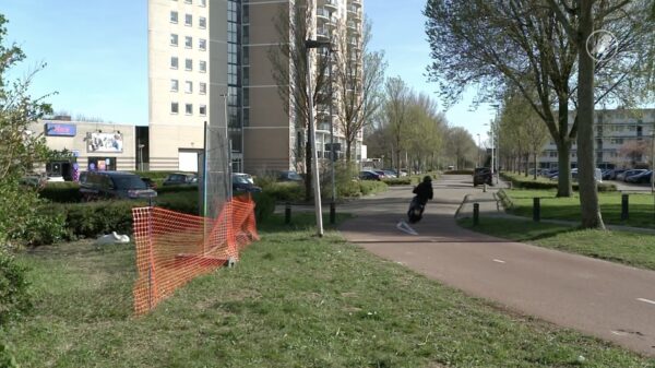 Zwanennest bij skatepark Spijkenisse keer op keer aangevallen door hufters