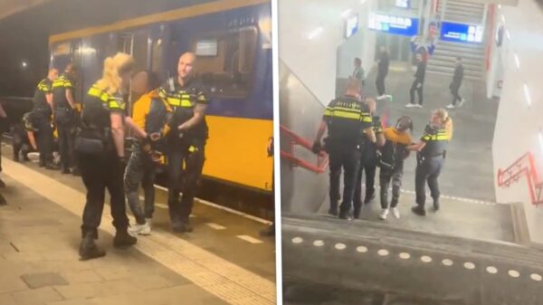Scheldend kansenpareltje gaat los in de trein en eindigt bij politie