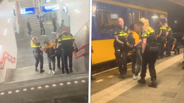 Scheldend kansenpareltje gaat los in de trein en eindigt bij politie