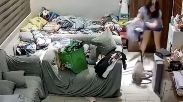 Psychopatische kat draait compleet door en valt uit het niets z'n baasje aan