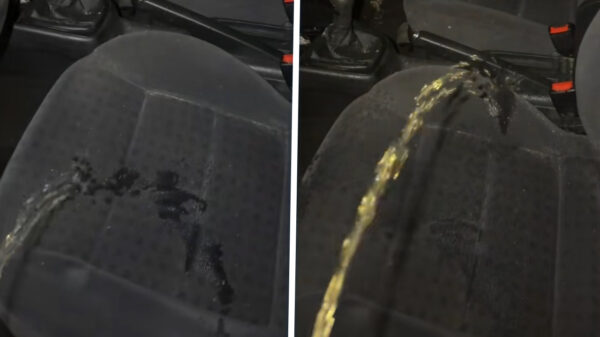 Als ze vreemdgaat pak je haar niet terug maar markeer gewoon je territorium