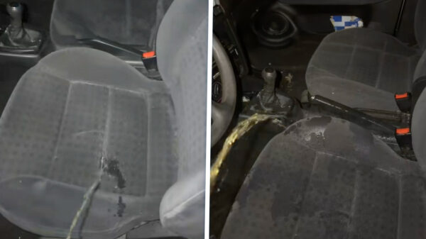 Als ze vreemdgaat pak je haar niet terug maar markeer gewoon je territorium