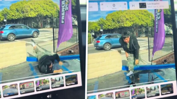 Slechte dag? Wacht tot je deze struikelende pechvogel eens ziet