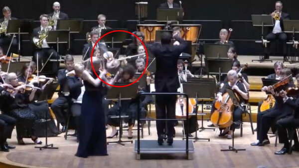 Oeps: Dirigent beukt viool van 1 miljoen euro uit de handen van solist