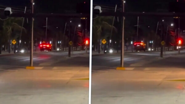 Scheurneuzen leren op de harde manier wat verkeersdrempels zijn