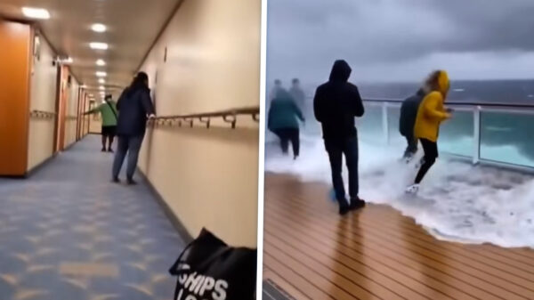 Ga op cruise, zeiden ze. Heerlijk ontspannend, zeiden ze