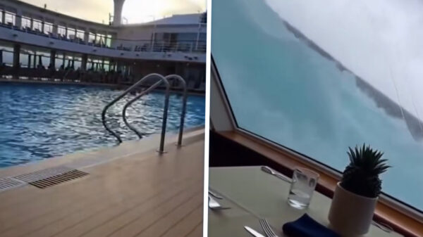 Ga op cruise, zeiden ze. Heerlijk ontspannend, zeiden ze