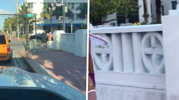 Dorpsgek loopt halfnaakt over straat met een lading boodschappen