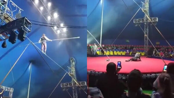 Falende koorddanser maakt een harde klapper als hij van het koord afvalt