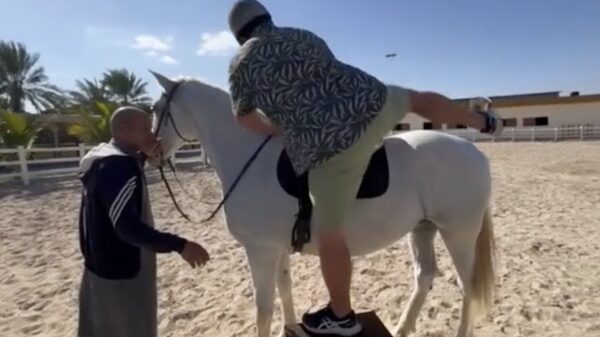 Pijnlijke beelden: Daniël Bellinga gaat op z’n smoel bij het paardrijden