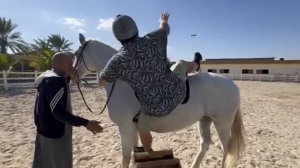 Pijnlijke beelden: Daniël Bellinga gaat op z’n smoel bij het paardrijden