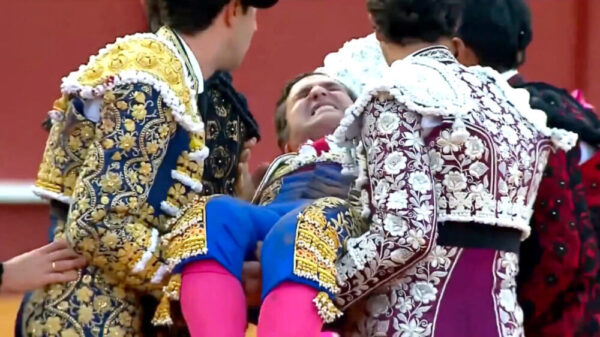 Spaanse matador kan niet eten of slapen na zware verwonding in Sevilla