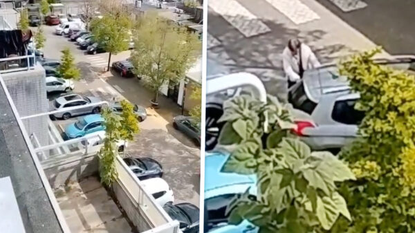 'Parkeerhulp' oma zeikt opa compleet af als 'ie probeert in te parkeren